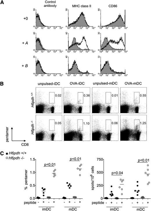 Figure 5. H6PDH regulates the differentiation and immunostimulatory potential of BM-derived DCs. (A) H6pdh−/− (open histograms) or H6pdh+/+ littermate (solid gray histograms) BM-derived DCs were exposed to 2 µg/mL LPS in the presence or absence of 10−7 M A or 10−7 M B. Representative staining for MHC class II and CD86 in gated CD11c+ BM DCs from mice. (B-C) Immature DCs (iDCs) or LPS-matured BM DCs (mDCs) from H6pdh−/− or H6pdh+/+ littermate control mice were untreated or pulsed with 1 µM SIINFEKL peptide before intraperitoneal injection into B6 mice. At 7 days, the host anti-OVA response was evaluated by Kb:SIINFEKL pentamer staining and by ELISPOT assay for specific IFN-γ generation. (B) Representative dot plots of pentamer staining. (C) Summary graphs for Kb:SIINFEKL pentamer and ELISPOT evaluations. Data are pooled from 3 independent experiments.
