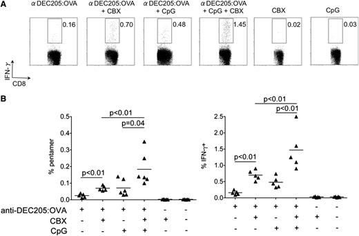 Figure 7. Transient inhibition of 11βHSD1 enhances capacity of CD8α+ to cross-present antigen. Wild-type female B6 mice were treated with one or more of anti-DEC205:OVA (200 µL supernatant), CBX (2 mg), or CpG 1826 (100 µg) given by intraperitoneal injection before evaluating the endogenous anti-OVA CD8 T-cell response 7 days later. (A) Representative flow cytometric plots showing intracellular IFN-γ staining on gated CD8 T cells following restimulation overnight with relevant (SIINFEKL) or irrelevant peptide. Gates set according to irrelevant peptide. (B) Summary data for by Kb:SIINFEKL pentamer staining (left) in spleens or specific intracellular IFN-γ generation (right) are shown.