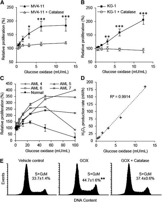 Figure 5. H2O2 induces proliferation in hematopoietic cells. (A) Proliferation of MV4-11 cells treated with GOX for 48 hours in the absence or presence of catalase (determined by MTS assay; n = 6). The graph shows MTS reagent absorbance at 492 nm as a percentage of untreated control absorbance (normalized to 100%). (B) KG-1 cell proliferation measured as in (A). (C) Proliferation of primary AML blasts and normal human CD34+ cells treated with GOX in the absence of growth factors (n = 3). (D) The rate of GOX-derived H2O2 production in culture medium (determined by Amplex UltraRed) as a function of GOX concentration. (E) Cell cycle analysis of MV4-11 cells treated with vehicle control or 5 mU/mL GOX in the presence or absence of catalase (n = 5). Significance of difference was determined by the Mann-Whitney U test or the Kruskal-Wallis test followed by Dunn’s multiple comparison test. *P < .05, **P < .01, ***P < .001.