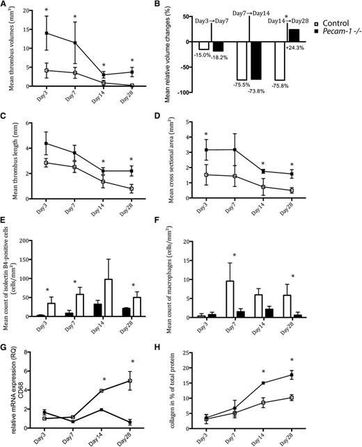 Figure 1. Temporal changes of thrombus characteristics in Pecam-1−/− and wild-type mice. Thrombus volumes (A), relative thrombus volume changes (B), thrombus lengths (C), cross-sectional areas (D), endothelial cell counts (E), macrophage counts (F), relative CD68 mRNA expression levels (G), and collagen deposition (H) on days 3, 7, 14, and 28 after vena cava ligation are shown (*P < .05, all means with ± standard deviations). Black symbols represent Pecam-1 −/− mice; white symbols represent controls.