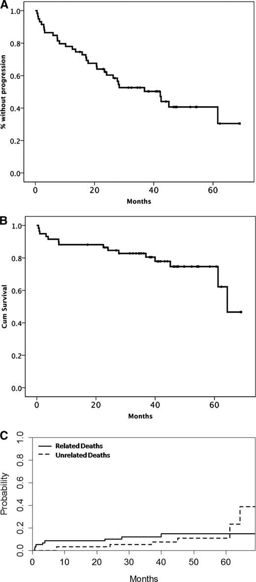 Figure 2. Time-to-event curves after therapy with BDR. (A) PFS, (B) OS, and (C) cumulative incidence of related and unrelated deaths.