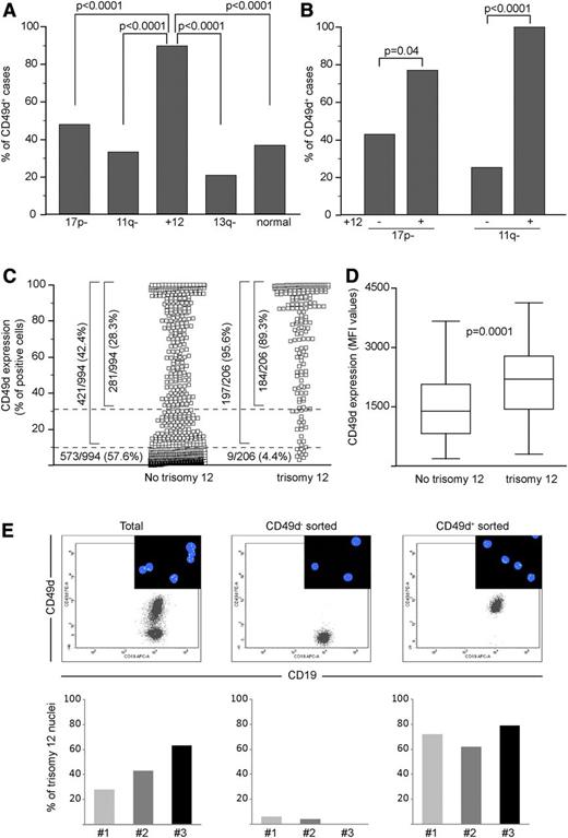 Figure 1. CD49d is almost universally expressed by trisomy 12 CLL. The percent of CD49d+ cases among 1200 CLL split according to the cytogenetic groups defined by Döhner et al4 (A) and in the context of the 17p- and 11q- groups, split according to the presence or not of trisomy 12 (B). 17p-, 17p13.1 deletion; 11q-, 11q22-q23 deletion; +12, trisomy 12; 13q-, 13q14.3 deletion; normal, none of the above. All P values refer to the χ2 test. (C) CD49d expression in CLL cases split into 2 groups according to the presence of trisomy 12. Dotted lines were set at 30% and 10% cutoffs, and the number and percentages of cases expressing different CD49d levels are reported. (D) CD49d MFI values in CD49d+ CLL bearing or not bearing trisomy 12. Boxes represent the interquartile range (25-75%), with the middle line indicating the median and the horizontal lines indicating the minimum and maximum values. (E) FISH analysis in the total and in the CD49d– and CD49d+ sorted components from 3 CLL cases characterized by CD49d bimodal expression. The upper panels represent dot plots of CD19 vs CD49d expression from 1 representative case (case 2). The insets show representative fields of FISH analysis performed with an α satellite DNA probe CEP12, directly labeled with SpectrumGreen to detect aneuploidy of chromosome 12. Histograms represent the percent of trisomy 12 nuclei in the total CD5+CD19+ (left), CD5+CD19+CD49d– (middle), and the CD5+CD19+CD49d+ (right) sorted components from 3 CLL cases.