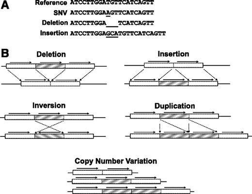 Figure 1. Types of DNA sequence variation. (A) SNVs result from the substitution of 1 base, while insertion or deletion (indel) affects a string of nucleotides. (B) Structural variants (typically affecting >1000 bp) include large indels, inversions, duplications, and CNVs.