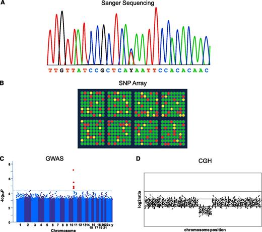 Figure 2. First-generation sequencing and genome-wide association technologies. (A) Stylized schematic of fluorescence-based (Sanger) sequencing chromatogram result showing heterozygosity for T/C at position Y. (B) Cartoon of genome-wide SNP marker genotyping array (SNP array) showing detection of differential hybridization (green or red if homozygous, yellow if heterozygous) of fluorescently labeled DNA representing common SNPs to the chip. (C) Cartoons of results from genetic array data. In GWAS, a “Manhattan plot” is typically used to summarize the large number of P values obtained, as represented by genomic coordinates displayed along the x-axis, with the negative logarithm of the association P value for each SNP displayed on the y-axis. A −log P value, such as indicated by the dashed line, is generated which is considered to meet the threshold for statistical significance. SNPs with significant values would appear above the line (shown in red). (D) For array CGH, gains and losses of DNA are given as a ratio and plotted against genomic position. This example shows loss of a region compared with the reference.