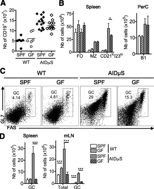 Figure 7. Uncontrolled microbiota drives the GC but not the MZ and B1-cell phenotypes in AID−/−µS−/− mice. FACS analysis of splenic, mLN, and peritoneal cavity B cells from AID−/−µS−/− and WT mice maintained in SPF or GF conditions. (A) Total numbers of CD19+IgM+ B cells per spleen. (B) Absolute numbers of follicular (FO), MZ, and CD21loCD23lo in the spleen (left) and B1 in the peritoneal cavity (right) are shown. (C) Representative dot plots showing the percentages of GL7+FAS+ GC B cells in mLNs. (D) Total numbers of CD19+IgM+ B cells and GC B cells per mLN (right) and of GC B cells per spleen (left) are shown. Results are representative of 3 independent experiments; each dot represents one animal. Statistical analyses are shown only to compare groups that have the same genotype but were kept in different housing conditions (GF vs SPF); *P ≤ .05; **P ≤ .01; ***P ≤ .005.