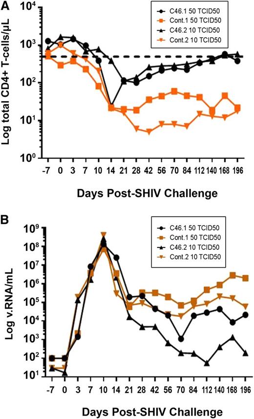 Figure 1. Protection of CD4+ T cells and reduced viremia in SHIV-infected macaques previously engrafted with mC46-expressing HSCs. (A) Absolute number of CD4+CD3+ T cells/μl peripheral blood of SHIV-infected macaques engrafted with control (squares and diamonds) or mC46-expressing (circles and triangles) CD34+ HSCs, as determined by FACS analysis. The lower limit of the normal CD4+ T-cell range is indicated by the dotted line. (B) Levels of SHIV RNA detected in peripheral blood of macaques previously engrafted with control (squares) or mC46-expressing (circles) CD34+ HSCs. Macaques were challenged with a viral dose equivalent to 10–50 TCID50. The limit of quantification of the viral load real-time polymerase chain reaction assay was 102 viral RNA copies/mL.