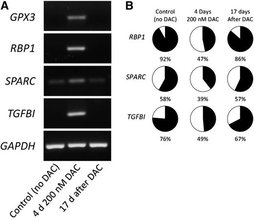 Figure 4. Loss of methylation and induction of expression of pd-DMR genes under 5-aza-2′-deoxycytidine treatment. The cell line KMS11 was treated with demethylating low doses (200 nM) of DAC for 4 consecutive days and cell material was harvested at baseline, after DAC treatment, and after additional 17 days of culture after removal of DAC. Gene expression of pd-DMR genes was assayed by RT-PCR and products were run on a 2% agarose gel with glyceraldehyde-3-phosphate dehydrogenase as a housekeeping gene control (A). DNA methylation at the genomic loci of the pd-DMR probes was assayed by bisulfite pyrosequencing for the different time points. Black areas in the pie charts represent % methylated, white area % unmethylated cytosine residues. Pyrosequencing assay design for the probe mapping to GPX3 was technically impossible due to very high CpG density at the surrounding region of the pd-DMR array probe (B).