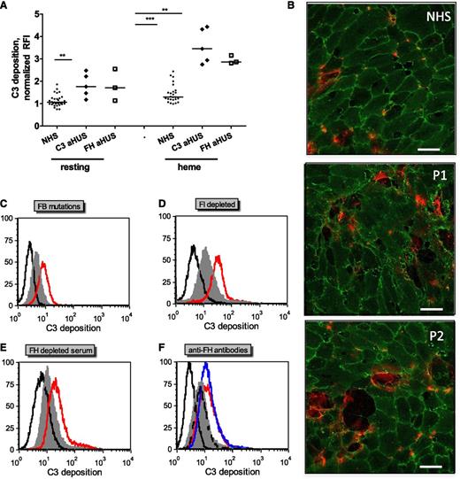 Figure 3. C3 deposits on heme-treated endothelial cells are increased with sera from aHUS patients compared with normal sera. Endothelial cells were treated as in Figure 2A with 100 μM heme and 1:4 dilutions of various sera representing aHUS relevant conditions. (A) Resting or heme-exposed GEnCs were incubated with NHS (n = 30) or sera from aHUS patients with FH (n = 3) or C3 (n = 5) mutations, and the level of C3 deposition was measured by fluorescence-activated cell sorter. (B) HUVECs were exposed to 100 µM heme and 1:4 dilutions of NHS and sera from two aHUS patients with C3 mutations (P1 and P2) and labeled with anti-CD31 (green) and anti-C3 (red) for immunofluorescence, as in Figure 2C. Scale bar = 50 µm. (C-E) Heme-exposed HUVECs were treated with normal sera (gray) or different model conditions for aHUS (red). (C) FB-depleted serum complemented with recombinant FB either wild-type or with aHUS-related mutation D254G, (D) FI-depleted serum, (E) FH-depleted serum, and (F) normal serum complemented with blocking anti-FH antibodies against the N-terminus (Ox24, AbD Serotec; blue) or C-terminus (C18, Santa Cruz; red) or nonblocking antibody (Ox23, dashed line). The isotype control is in black. A representative histogram from 1 of at least 3 independent experiments is presented. Statistical significance, **P < .01, ***P < .001.