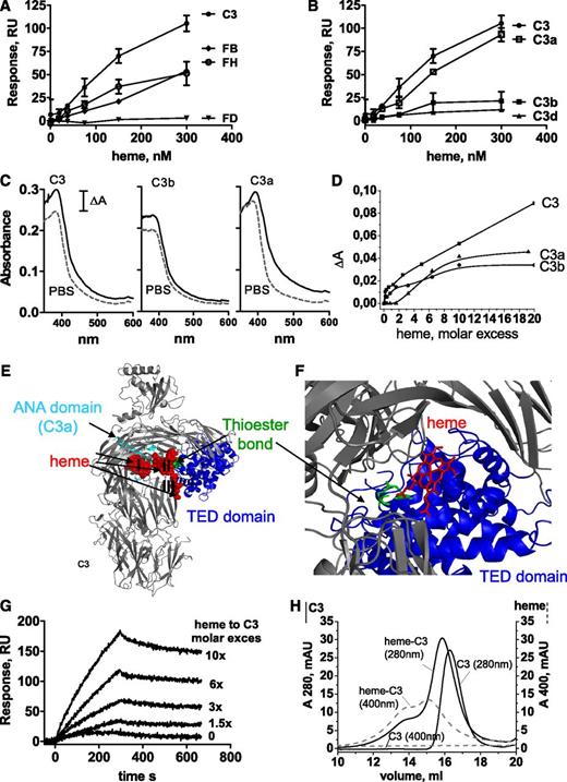 Figure 4. Binding of heme to C3. SPR analysis of the binding of different concentrations of heme to (A) AP proteins and (B) C3 fragments immobilized on the chip (mean ± SD from 3 experiments on 2 chips). The flow rate was 30 μL/min with N-2-hydroxyethylpiperazine-N′-2-ethanesulfonic acid (HEPES) running buffer (10 mM HEPES, 150 mM NaCl, Tween 0.005%; pH 7.3). Each interaction was tested on at least two different chips at least twice per chip. Data were double referenced and analyzed by using ProteOn manager software. (C) Absorption spectroscopy for the binding of heme at a 10-fold molar excess to C3, C3b, and C3a. Dashed gray line represents the spectrum of heme in PBS and the black line represents the spectrum of heme in the presence of protein. (D) Dose-dependence of the binding of heme to C3, C3b, and C3a. Heme was added to the protein solution and incubated for 2 minutes in the dark at 20°C before recording the spectrum. Absorbance differences between protein-bound hemin and hemin at absorbance maxima (λ = 395 nm) in the Soret region (ΔA) were used to build titration binding curves. (E) Molecular docking of heme to C3: heme (red spheres) in all 14 retrieved models docked to three regions of the molecule (I, II, and III), one being close to the ANA domain (cyan), the second being close to the thioester bond (green) in the TED domain (blue), and the third again being close to the TED domain. (F) Zoomed in view of the II cluster with the top-score heme molecule visualized using ball-and-stick art in red. The distance between the thioester bond (green) and heme is less than 10 Å. (G) SPR analysis of the binding of heme-exposed C3 to C3 immobilized on the chip. One experiment of 3 with similar results is presented. No interaction was detected in the absence of heme, although dose-dependent binding was found with increasing heme concentrations. (H) Size exclusion chromatography of native C3 and heme-exposed C3. Fast protein liquid chromatography with a Superose 6 column with dual wavelength was used (280 nm for C3, black line; 400 nm for heme, gray dashed line). C3 at 6.4 µM was incubated for 10 minutes on ice with PBS or 64 µM heme, giving 10-fold molar excess adjusted to a final volume of 1 mL and loaded to the column.