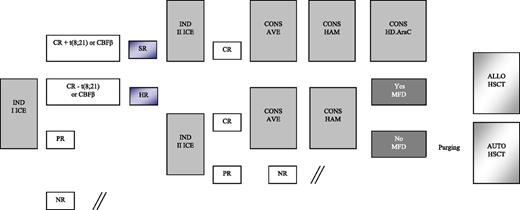 Figure 1. Schematic representation of the induction and consolidation courses employed for treating patients enrolled in the AIEOP AML 2002/01 trial. AVE, HD Ara-C and etoposide; CONS, consolidation; HAM, HD Ara-C and mitoxantrone; MFD, matched family donor.