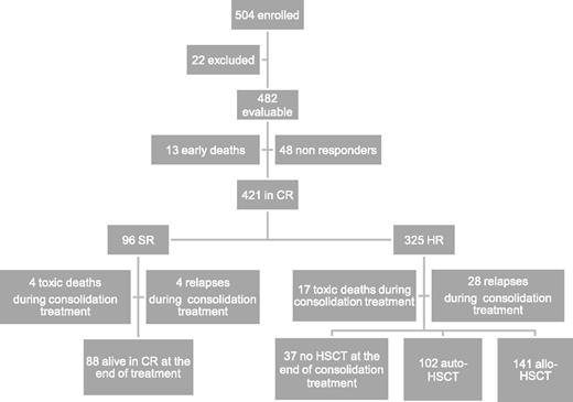 Figure 2. Flowchart of patients enrolled in the 2000/01 AML protocol.