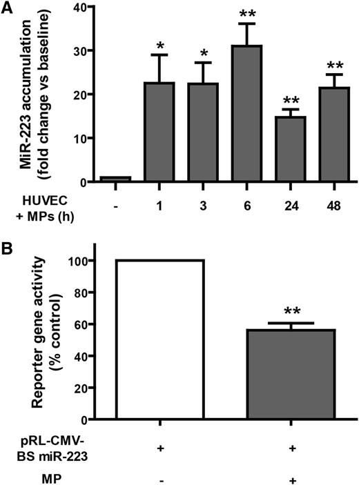 Figure 4. Platelet-derived MPs can deliver functional Ago2•microRNA effector complexes to HUVEC. (A) HUVEC were incubated with platelet-derived MPs for up to 48 hours, and miR-223 accumulation in HUVEC was quantitated by qPCR. Results were normalized by the 2^-ΔΔCt method, using RNU6 as a reference,27 and expressed as the mean (±SEM) fold changes vs baseline (n = 5 experiments). (B) HUVEC transiently expressing a Rluc reporter gene, harboring a binding site complementary to miR-223 (pRL-CMV-BS miR-223), were incubated (or not; control) with MPs derived from thrombin-activated platelets for 48 hours prior to luciferase activity measurements. Results were normalized on Fluc activity, and expressed as mean (±SEM) percentage of control (n = 4 experiments). *P < .05; **P < .01 vs baseline or control (Student t test). pRL-CMV, Renilla luciferase–cytomegalovirus (CMV) plasmid; BS miR-223, Binding site for miR-223.