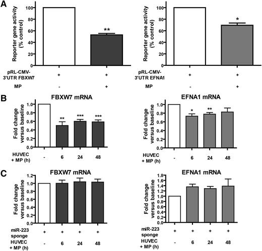 Figure 5. Platelet MP-derived miR-223 can regulate HUVEC gene expression at the mRNA level. (A) HUVEC transiently expressing a Rluc reporter gene, harboring the 3′UTR of FBXW7 (pRL-CMV-3′UTR FBXW7) (left panel) or EFNA1 mRNA (pRL-CMV-3′UTR EFNA1) (right panel), were incubated (or not; control) with MPs derived from thrombin-activated platelets for 48 hours prior to luciferase activity measurements. Results were normalized on Fluc activity, and expressed as mean (±SEM) percentage of control (n = 3 experiments). (B-C) HUVEC transiently expressing a miR-223 sponge (pRL-CMV-BS miR-223 vector; n = 3 experiments) (C), or not (n = 5 experiments) (B), were incubated with platelet-derived MPs for up to 48 hours, and FBXW7 (left panels) and EFNA1 (right panels) mRNA levels were quantitated by qPCR. Results were normalized by the 2^-ΔΔCt method, using glyceraldehyde-3-phosphate dehydrogenase mRNA as a reference, and expressed as mean (±SEM) fold changes vs baseline. *P < .05; **P < .01; ***P < .0001 vs control or baseline (Student t test).