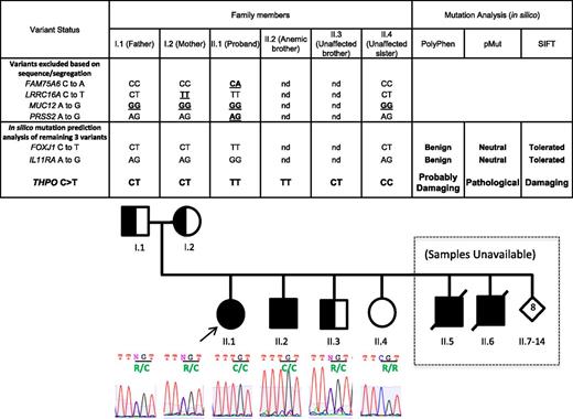 Figure 4. Genetic segregation analysis and in silico mutation prediction analyses of SNP variants identified by exome sequencing. Only the homozygous THPO variant (c.CGT>TGT;p.Arg17C) segregated with the aplastic anemia phenotype in the proband (II.1) and her asymptomatic affected brother (II.2) as shown in A and B. Amino acid substitution is highlighted in green under the affected codon.