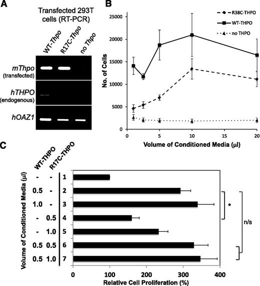 Figure 6. R17C mutant THPO protein is deficient in maintaining UT7-TPO cells. (A) Conditioned media were collected from human embryonic kidney (293T) cells transfected with murine WT-Thpo, mutagenized R17C-Thpo, and control (no Thpo) constructs. The transfected cells were analyzed by RT-PCR. In the top, both WT and R17C mutant mThpo transfections show equivalent expression and none with the control construct (no Thpo). There is no significant endogenous expression of hTHPO in mutant transfected human embryonic kidney cells (middle). The faint hTHPO background band visible in the WT-Thpo transfected sample is due to increased overall transcript levels for WT-Thpo compared with R17C-Thpo and no-Thpo, as seen with control hOAZ1 transcript levels (bottom). (B) 1 × 104 UT7-TPO cells, starved for commercial THPO for 16 hours, were treated with indicated volumes of WT, R17C mutant, or control conditioned media in a 96-well plate. Following 3 days of growth, proliferation was measured using MTT assays. WT THPO-containing conditioned media is able to maintain significantly increased UT7-TPO cell proliferation than the R17C mutant conditioned media at volumes of 1 μL (P < .03), 2.5 μL (P < .0002), and 5 μL (P < .02). Conditioned media with no exogenous THPO were not able to maintain cell proliferation. All treatments were done in triplicate. Results indicate mean ± standard error of the mean from 4 independent experiments. (C) 1 × 104 UT7-TPO cells were treated with indicated amounts of WT and R17C mutant conditioned media as above. MTT assay results following 3 days of growth are shown compared with baseline proliferation in the absence of THPO (lane 1). WT THPO shows significantly greater proliferation of UT7-TPO cells than mutant R17C THPO (lane 2 vs 4; *P < .01). Mutant R17C THPO is not able to reduce proliferation by WT THPO (lane 2 vs 6) even when twice as much mutant THPO is added (lane 2 vs 7). n/s, not significant. All treatments were done in triplicate. Results indicate mean ± standard error of the mean from 6 independent experiments.