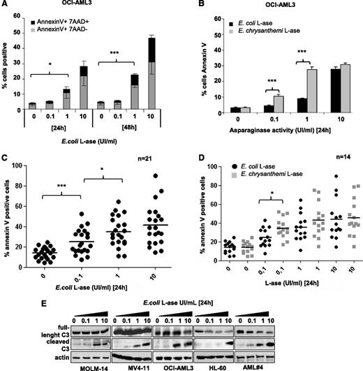 Figure 4. l-ase induces apoptosis in leukemic cells. OCI-AML3 cells and primary AML samples were cultured for 24 or 48 hours in 10% FBS MEM with or without 0.1, 1, or 10 UI/mL of E coli or E chrysanthemi l-ase. Apoptosis was determined by Annexin V +/− 7AAD binding using flow cytometry (A-D) or by western blotting using an anti-caspase 3 antibody (E).