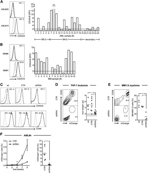 Figure 1. Role of CD44v6 in AML and MM cell growth in vivo. (A) Leukemic blasts from AML patients (n = 25, see supplemental Table 1) and (B) malignant plasma cells from MM patients (n = 15, see supplemental Table 2) were analyzed by FACS. Leukemic blasts were grouped according to their French-American-British subtype (M0-M3, n = 6; M4-M5, n = 12; secondary AML, n = 7). Left: CD44v6 expression from representative cases. Right: CD44v6 RFI (see “Material and methods”) from each case. The dashed line represents the threshold arbitrarily defining CD44v6 positivity (RFI = 2). (C) Tumor cells were transduced with an LV encoding for a CD44v6-specific shRNA sequence (see supplemental Figure 1C) and tested for selective silencing by FACS after gating for the mOrange marker gene (see “Material and methods”). Upper panels: CD44v6 expression on wild-type THP-1 leukemia cells (wt) or on THP-1 cells transduced with the shRNA or with a control vector (CTR). Lower panels: CD44 expression in the same conditions. (D) THP-1 cells and (E) MM1.S myeloma cells were transduced with the shRNA or with the CTR vector and infused intravenously in NSG mice. A group of control mice were infused with wt tumor cells. After 4 weeks, mice were sacrificed and analyzed for engraftment in different organs. Left: percentages of CD33+/mOrange+ THP-1 cells in the liver or of CD38+/mOrange+ MM1.S cells in the BM of representative mice. Right: weights of THP1-infiltrated livers or percentages of BM-engrafted MM1.S cells from each mouse. The dashed band represents the normal range of mouse liver weight. Results from a 1-way ANOVA are shown when statistically significant (*P < .05; **P < .01). (F) Leukemic blasts from patient AML#4 (see supplemental Table 1) were transduced with the shRNA or with the CTR vector, infused intravenously in NSG mice, and followed in the peripheral circulation by FACS. Left: percentages of circulating mOrange+ leukemic blasts (mean ± SD from n = 5 mice per condition) at different time points. Right: percentages of mOrange+ leukemic blasts in the BM from each mouse at 8 weeks. Results from unpaired Student t test are shown for each time point (**P < .01; ***P < .001).