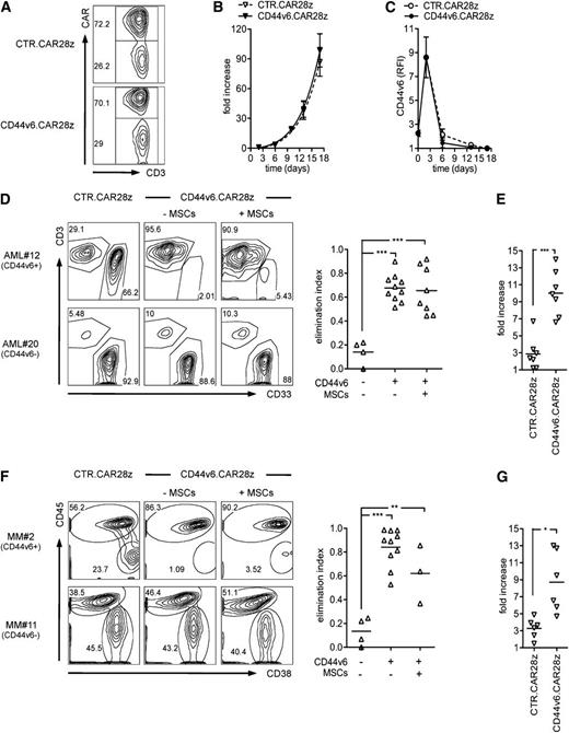 Figure 2. In vitro antitumor effects by CD44v6-targeted T cells. T cells were activated with CD3/CD28 beads, transduced with an RV encoding for the CD44v6-specific CAR (CD44v6.CAR28z) or a control CAR (CTR.CAR28z), and cultured with IL-7/IL-15. (A) Percentages of CAR+ T cells by FACS in a representative donor at 14 days. (B) Expansion of CAR+ T cells measured as fold increase (see “Material and methods”) at different time points after bead activation (mean ± SD from n = 5 donors). (C) CD44v6 expression (RFI, see “Material and methods”) on T cells at the respective time points (mean ± SD from n = 3 donors). (D) CD44v6.CAR28z+ or CTR.CAR28z+ T cells from healthy donors (n = 2) were cultured with CD44v6+ or CD44v6− leukemic blasts from AML patients (n = 7) in the presence (+) or absence (−) of MSCs (E:T ratio = 1:5/10). After 4 days, residual leukemic blasts (CD33+/CD3–) and T lymphocytes (CD33–/CD3+) were counted and analyzed by FACS. Left: results from a representative experiment. Right: antileukemia effects by CD44v6.CAR28z+ T cells measured as the elimination index (see “Material and methods”) for each combination. (E) Expansion of CD44v6.CAR28z+ or CTR.CAR28z+ T cells in response to CD44v6+ leukemic blasts measured as fold increase (see “Material and methods”) at the end of culturing. (F) The same experimental setting was used for CD44v6+ or CD44v6– malignant plasma cells from MM patients (n = 6). Malignant plasma cells were identified as CD38+/CD45–. Left: results from a representative experiment. Right: antimyeloma effects by CD44v6.CAR28z+ T cells measured as the elimination index for each combination. (G) Expansion of CD44v6.CAR28z+ or CTR.CAR28z+ T cells in response to CD44v6+ malignant plasma cells measured as fold increase at the end of the culture. Results from a paired Student t test or 1-way ANOVA are shown when statistically significant (*P < .05; **P < .01; ***P < .001).