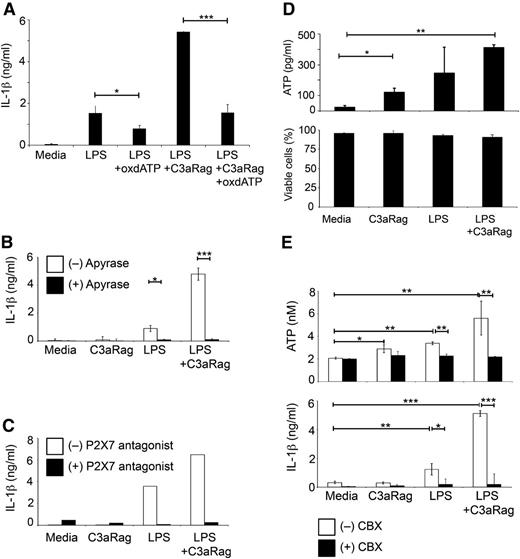 Figure 4. C3aR-mediated increase in IL-1β production is regulated via ATP cell efflux. (A-C) Monocyte treatment with oxATP, with apyrase or with a specific P2X7 antagonist abrogates LPS and LPS+C3a agonist-mediated IL-1β production. Monocytes were either left untreated or treated for 30 minutes with 300 μM oxATP (A), with 2.5 units/mL apyrase (B), or with 1 μM of the specific P2X7 antagonist AZ11645373 (C) before 24-hour activation with LPS and C3aR agonist (C3aRag) and subsequent assessment of IL-1β secretion. (D) C3aR activation increases extracellular ATP but does not affect cell viability. Freshly purified monocytes were activated as depicted (LPS, 100 ng/mL and C3aR agonist, 25 μM) and extracellular ATP measured at 4 hours postactivation (top panel) and cell viability measured at 4 hours and 24 hours postactivation (bottom panel; data shown are the 24-hour time point). (E) C3aR-mediated extracellular ATP increase can be inhibited by CBX. Monocytes were activated as indicated in the presence or absence of 200 μM CBX and ATP efflux (top panel, at 4 hours postactivation) and IL-1β secretion (bottom panel, at 8 hours postactivation) assessed. Data shown in panels A-B,D-E represent mean ± SD (n = 3). Results shown in panel C are the mean values of data derived from 2 independent experiments with activation conditions performed in triplicate. *P < .05; **P < .005; ***P < .001 as determined using the paired t test with Bonferroni correction.