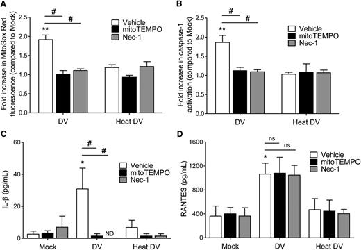 Figure 5. DV-elicited inflammasome activation depends on mitochondrial-derived ROS and RIP kinases. Platelets from healthy subjects were exposed to mock, infective DV-2 (DV), or heat-inactivated DV-2 (heat DV) in the presence or absence of the mitochondrial targeted antioxidant mitoTEMPO or the RIP1 inhibitor necrostatin-1 (Nec-1). Panels A and B show the fold changes for (A) MitoSox Red fluorescence and (B) caspase-1 activation related to mock values. (C-D) The levels of (C) IL-1β and (D) RANTES were determined in the supernatants of platelets incubated in each condition. The bars represent the mean ± SEM of 6 independent experiments using samples from different healthy donors. *P < .05 and **P < .01 compared with mock exposed platelets that were treated with the same drug. #P < .05 between DV-2–exposed platelets that were incubated with mitoTEMPO or Nec-1 and platelets that were incubated with DMSO. ND, not detected; ns, nonsignificant.