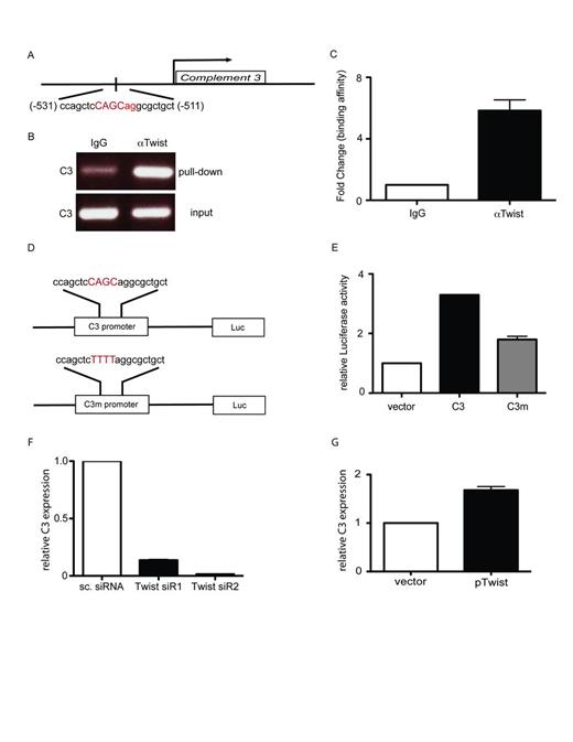 Figure 1. C3 is a target gene of TWIST1.