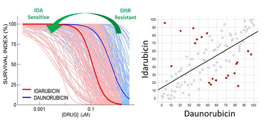 Figure 1. Individual different responses to IDA vs DNR in AML