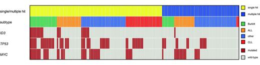 Figure. Correlation between single/multiple hit, subtype and molecular mutations.