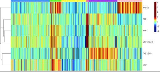 Figure 1. Expression of HP members. Colors across top refer to groups defined above. Color scale shows expression on a Log-2 scale.