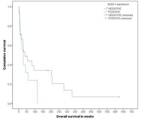 Fig. 2. OS in acute/unfavorable chronic type by MUM-1 status