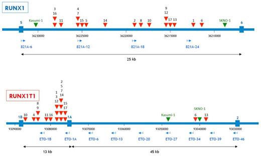Figure 1. Genomic RUNX1-RUNX1T1 breakpoints