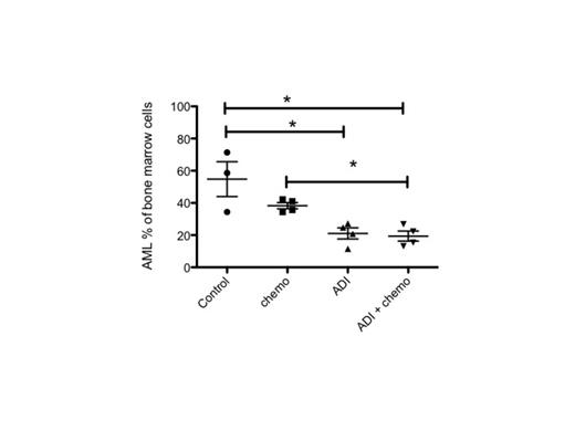 Figure 1. Effect of arginine deprivation on leukemic burden in a xenograft. Each symbol represents a mouse. * P < 0.05