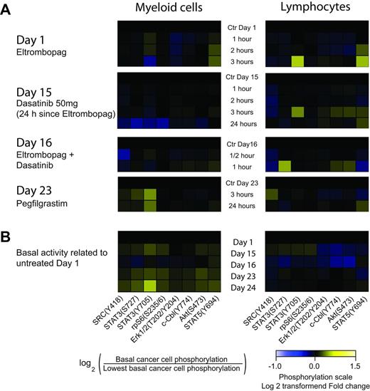 Figure 1. Single cell phosphorylation status of myeloid and lymphatic cells collected from CML patient, treated with dasatinib, eltrombopag, and pegfilgrastim.
