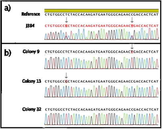 Figure 1. Identification of 2 distinct GATA2 mutations in patient J384.