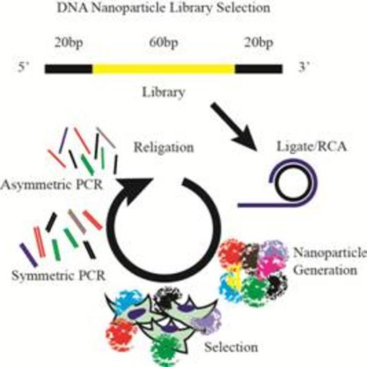 Figure 1. DNA nanoparticle selection scheme