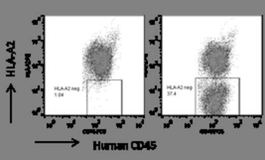 Figure. Engraftment of HSCs modified by the HLA-A specific ZFNs in NSG mice.