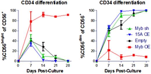Figure 1. Myb enhances initial NK cell differentiation from CD34+ cells, but prevents final maturation to CD56dim NK cells