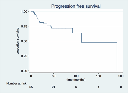 Figure 1. PFS from time of transformation.