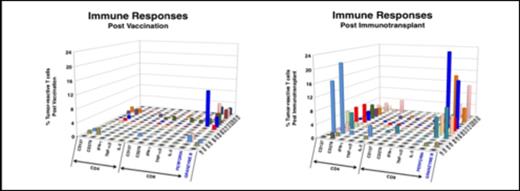 Figure 1. Anti-tumor T cells expand post immunotransplant.