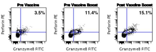 Figure 2. Anti-tumor CD8 T cell responses are durable and can be boosted.