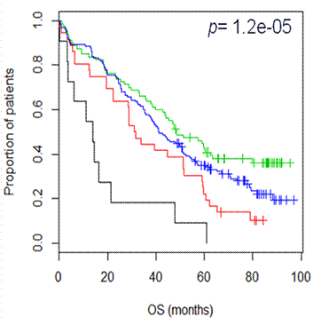 Figure 1. MRC Myeloma IX: 4 distinct risk groups based on expression level of FUCA1, ST3GAL6 and ST3GAL1. Ultra high/high (black and red respectively) = 18% patients. Median OS high risk (black) = 13.9 mos. vs 48.3 low risk (green).