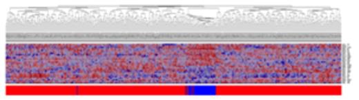 Figure 1a. Heatmap for 27-gene model, training set. / (Key: blue = African-American, red=Caucasian)