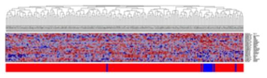 Figure 1b. Heatmap for 27-gene model, test set. / (Key: blue = African-American, red=Caucasian)
