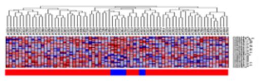 Figure 1c. Heatmap, 27-gene model, AMM validation set. / (Key: blue = African-American, red=Caucasian). / Validation set: 63 Caucasian, 7 African-American with AMM baseline GEP samples