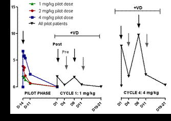 Figure 1. Kinetics of plasma levels in the cohorts of patients treated with different NOX-A12 doses (pilot phase) and in all patients together after combined treatment with NOX-A12 and VD (cycle 1 and 4)