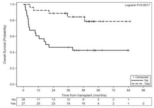 Overall survival salvage (yes) vs consolidation group (no)