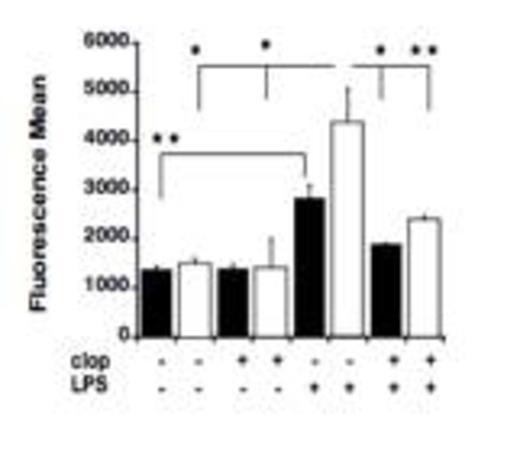 Figure 3. LPS-induced elevations of MPO levels was noted in the lungs of P2Y12 null mice. MPO analysis was performed in lung samples of untreated and LPS treated WT (black) and KO mice (white) before and after clopidogrel exposure. Values are expressed as fluorescence mean ± SEM (*p < 0.01; **p < 0.05; KO model versus WT, treated versus untreated; n=3).