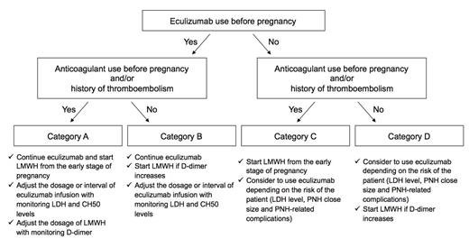 Figure. A proposed protocol for the management of a pregnancy in PNH.