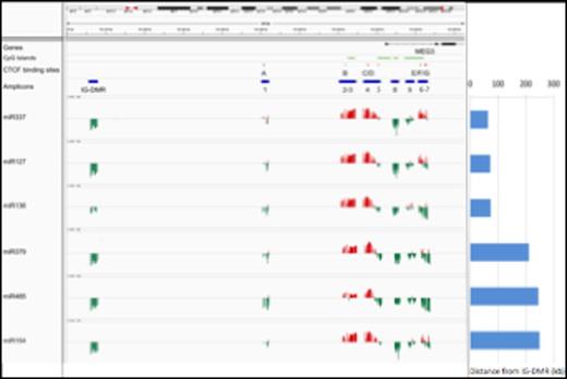 Figure 2. Correlation between DNA methylation levels and miRNAs expression. The expression of 14q32 miRNAs was correlated with the DNA methylation level at the DMRs. The position of CpG islands, CTCF binding sites (A-B-C-D-E-F-G) and amplicons is labeled with green, red and blue horizontal bars, respectively. Amplicons 1-9 reside in the MEG3-DMR. The correlation is represented with red and green vertical bars indicating positive and negative values, respectively.