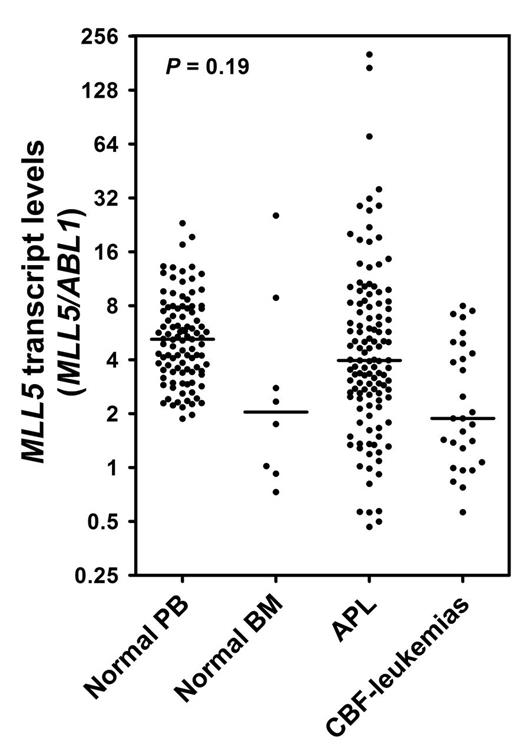 Figure 1. Quantitative analysis of MLL5 gene expression in samples from normal PB and BM, APL and CBF-leukemias. The horizontal bars represent the median value of MLL5 expression relative to ABL gene.