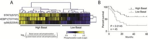 Figure 1. Phosphorylation status of STAT3(S727), 4EBP1(T37/Y45) and ribosomal protein S6 (S235/6), a diagnostic tool for estimating overall survival.